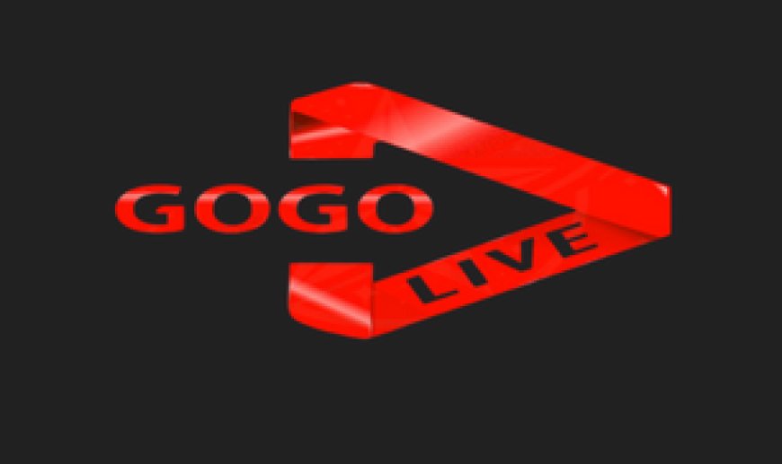 GOGO: Stable IPTV Service with a Comprehensive Content Collection