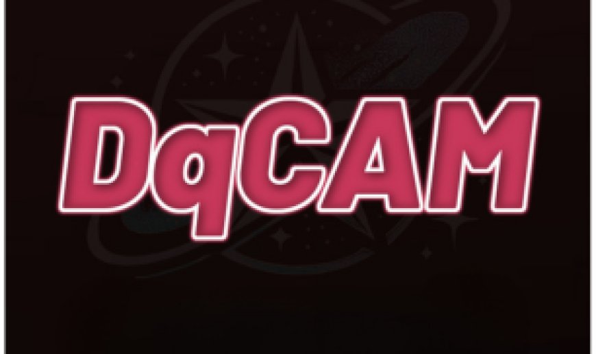 DQCAM Server: Stable Sharing Access for Compatible Satellite Receivers