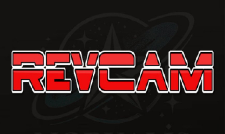REVCAM Server: Stable & Dependable Sharing for Satellite TV Receivers