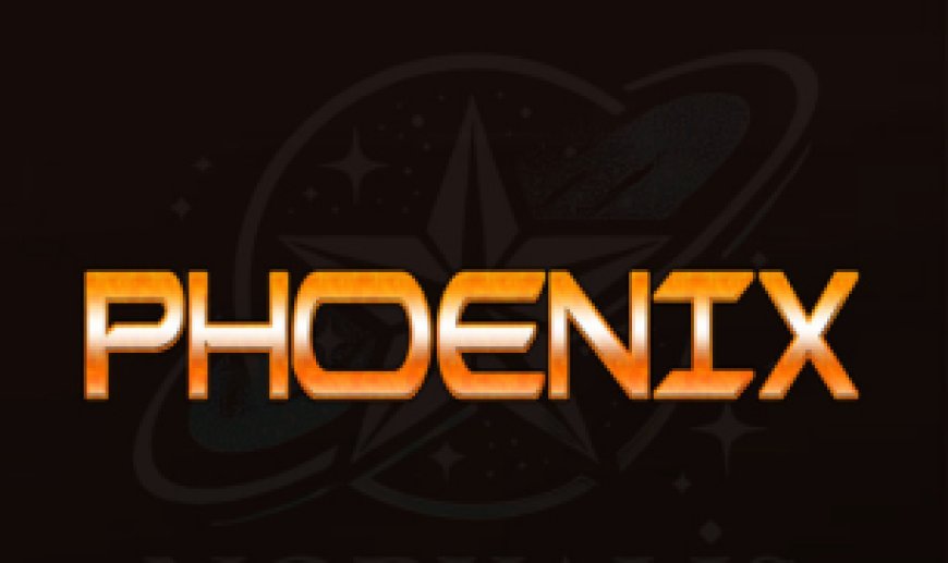 PHOENIX Server: Stable Sharing Access for Satellite TV Receivers